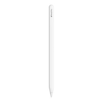 Irbulis Apple Pencil Pro (MX2D3ZM/A), Balta