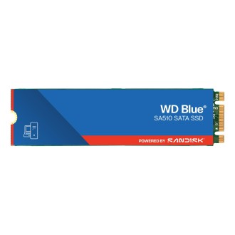 Arvutikomponent Western Digital WDS100T3B0B-00AXS0