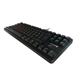 Keyboard CHERRY G3833B (G80-3833LWBDE-2), Black