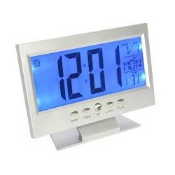 Laikrodis-termometras DS-8082
